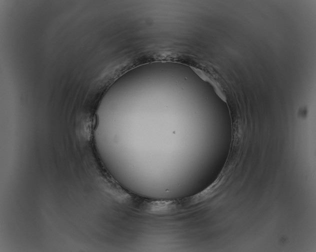 X0000091090090200708271305