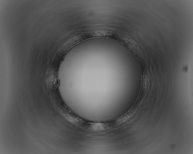 X0000091090091200708271305