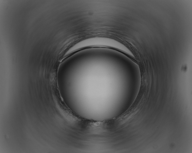 X0000091090092200708271305