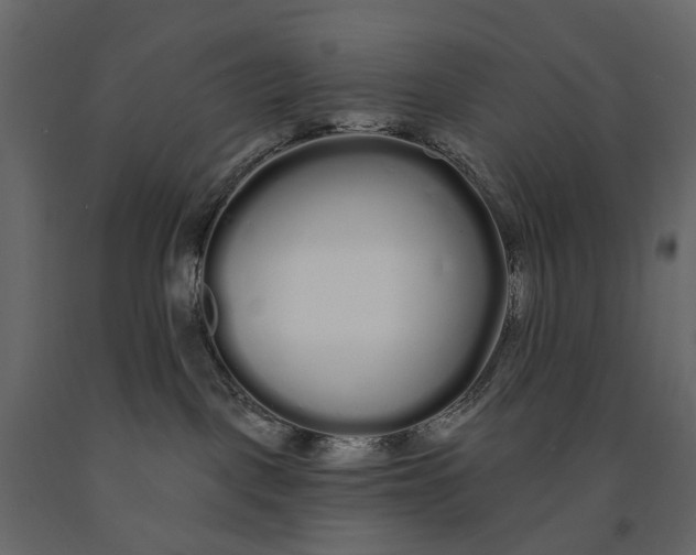 X0000091090093200708271305