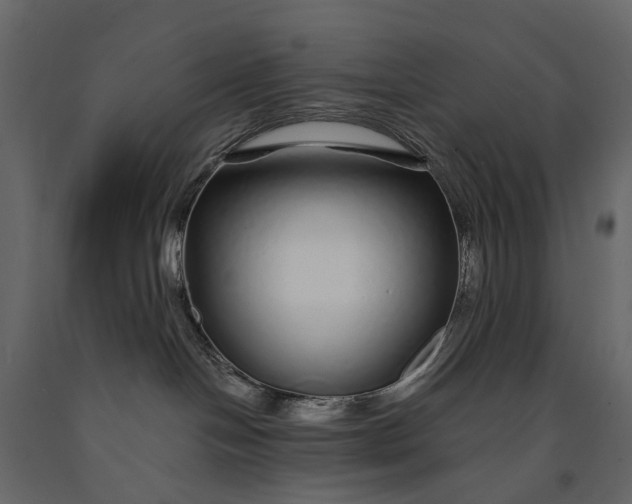 X0000091090094200708271305