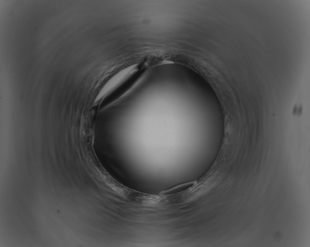 X0000091090096200708271305