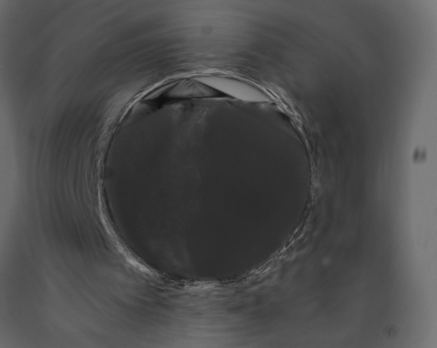 X0000091090097200708271304