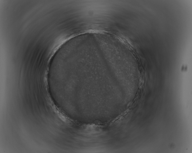 X0000091090098200708271304