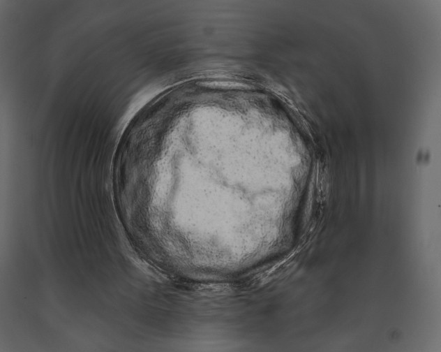 X0000091090099200708271304