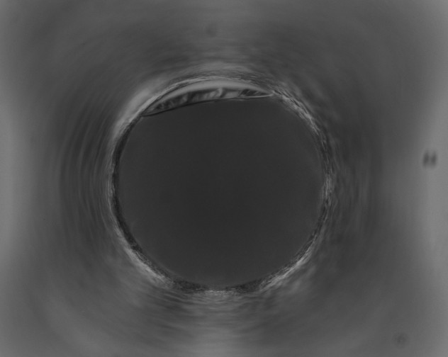 X0000091090101200708271304