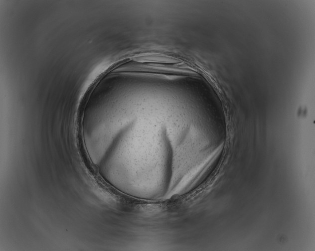 X0000091090102200708271304