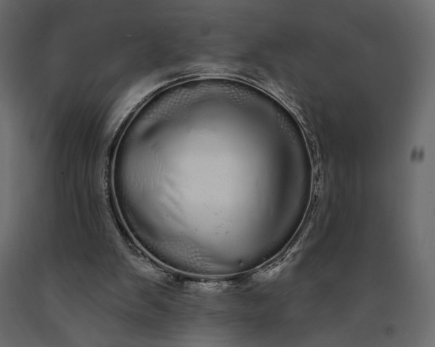 X0000091090103200708271304