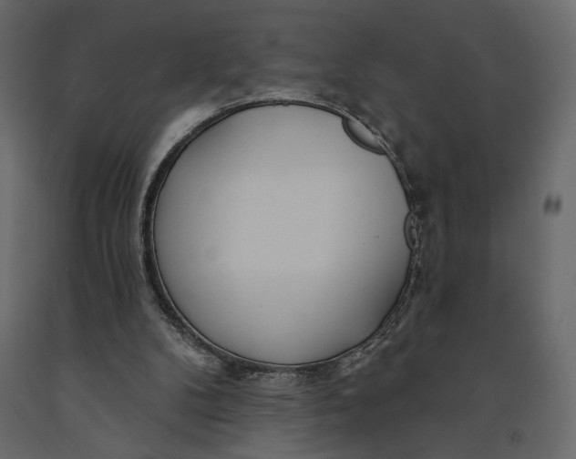 X0000091090104200708271304