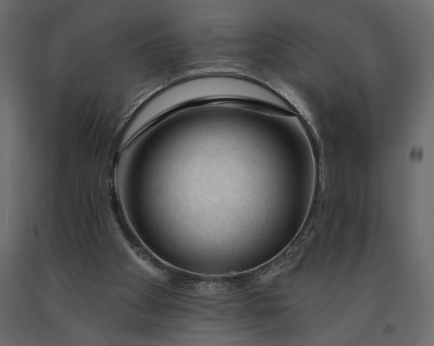 X0000091090105200708271304