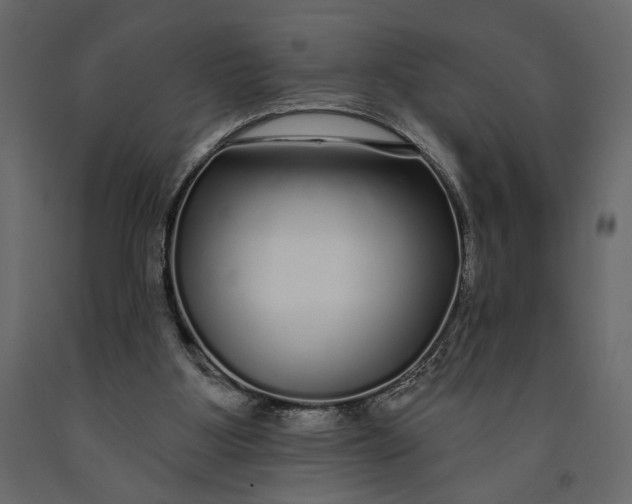 X0000091090107200708271304