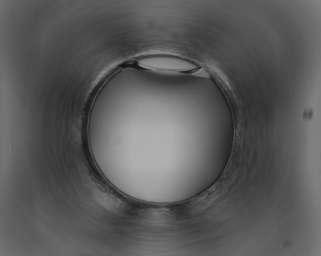 X0000091090108200708271304