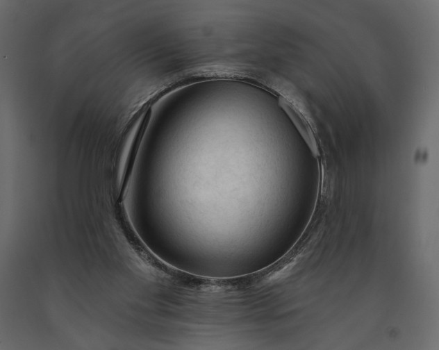 X0000091090109200708271304