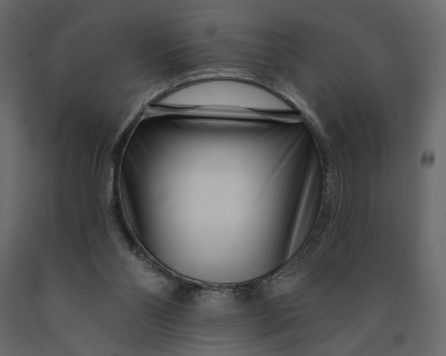 X0000091090110200708271304