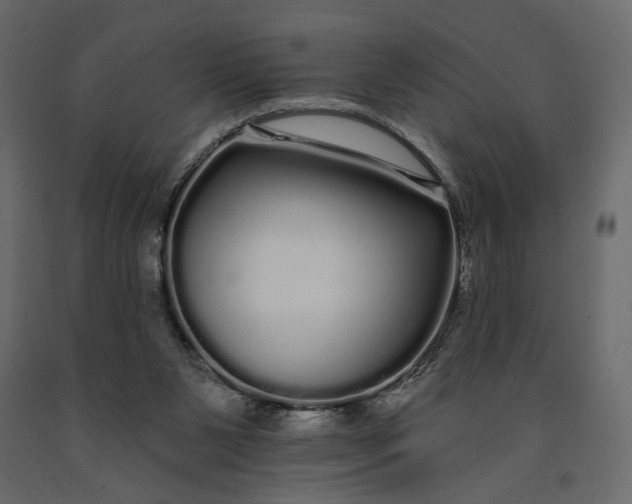 X0000091090111200708271304