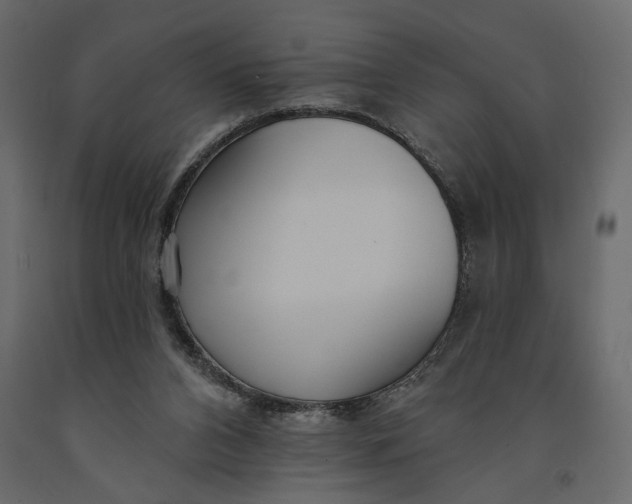 X0000091090112200708271304