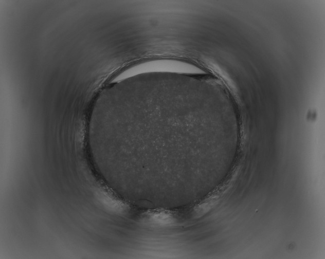 X0000091090113200708271304