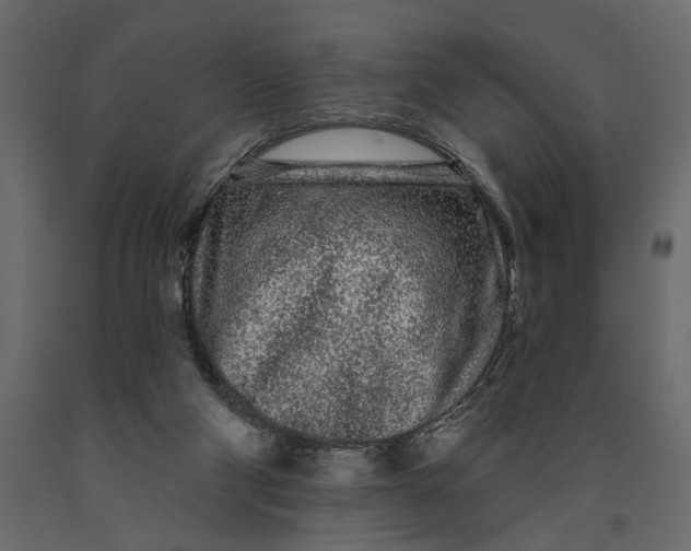 X0000091090114200708271304