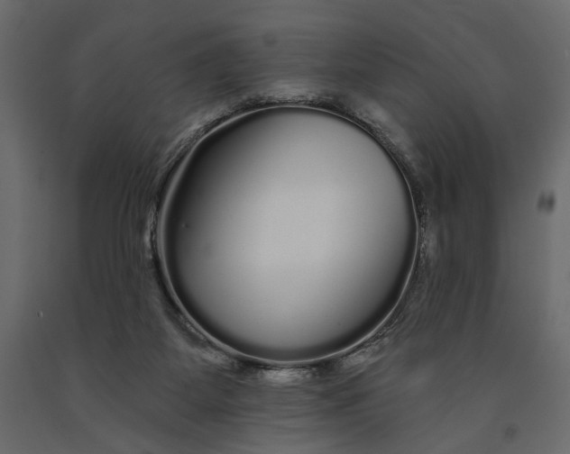 X0000091090115200708271304