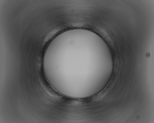 X0000091090116200708271304