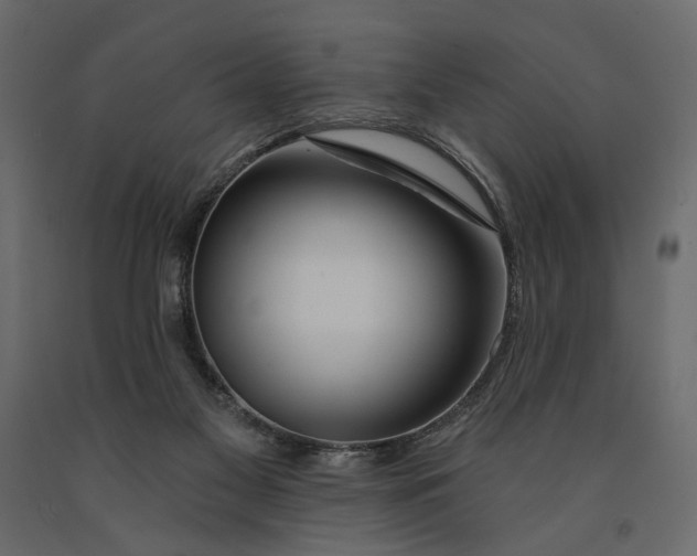 X0000091090117200708271304