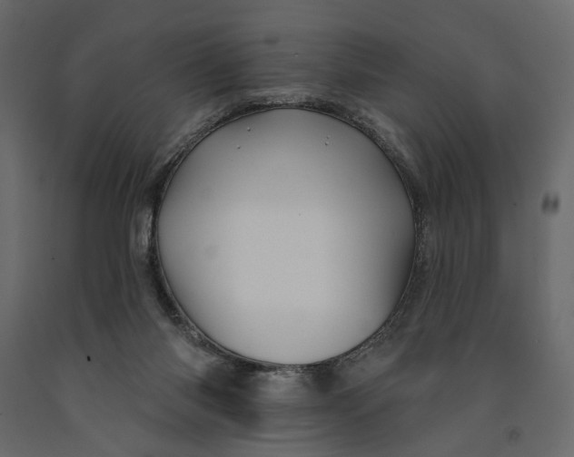 X0000091090118200708271304