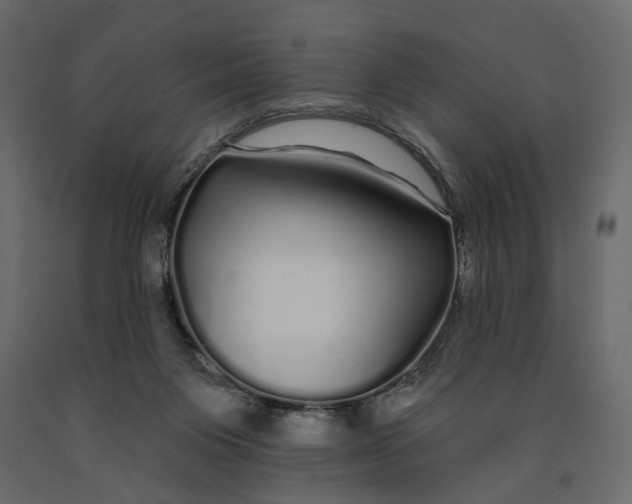 X0000091090119200708271304