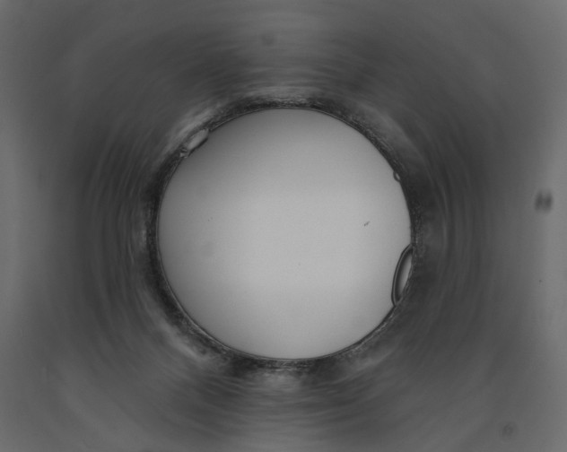 X0000091090120200708271304