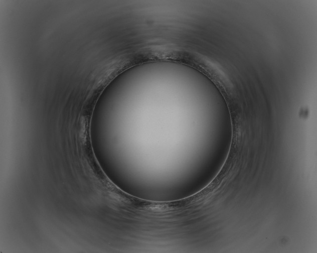 X0000091090121200708271304