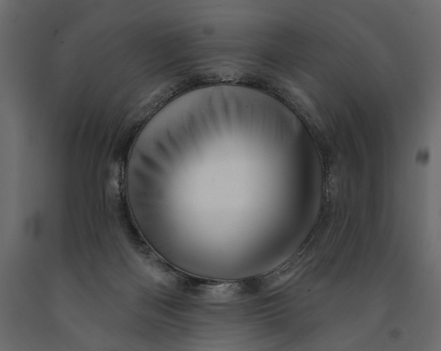 X0000091090122200708271304