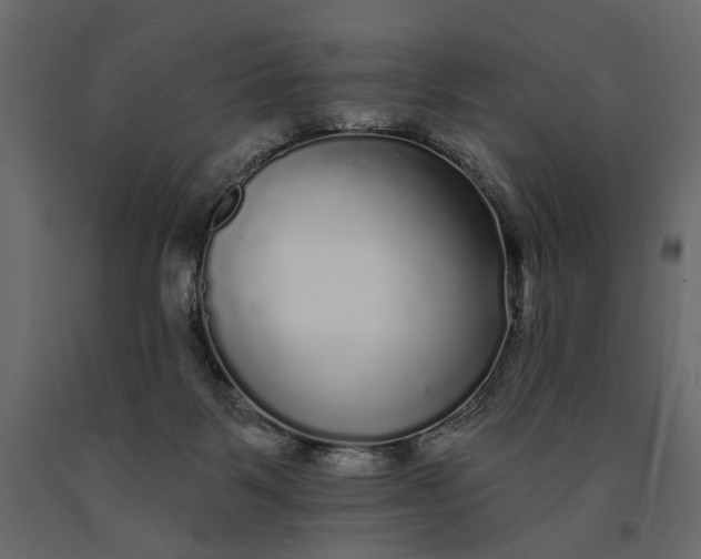 X0000091090123200708271304