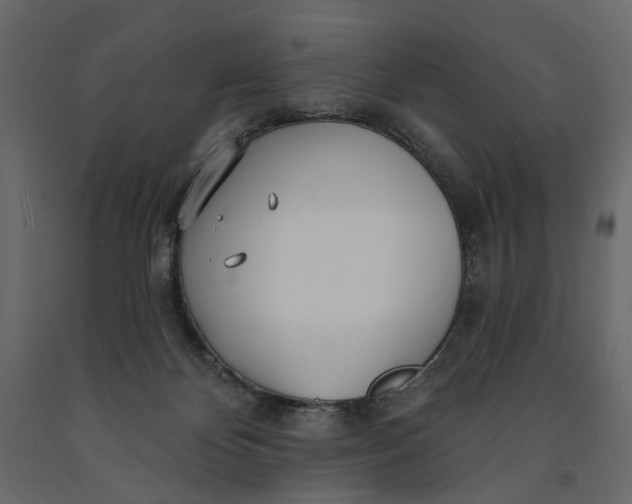 X0000091090124200708271304