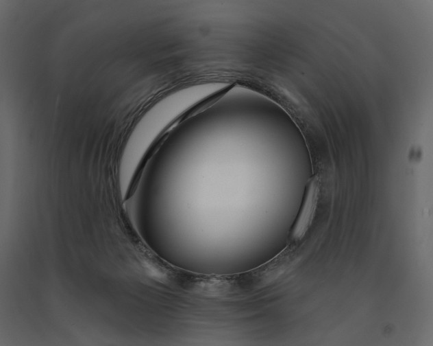 X0000091090125200708271304