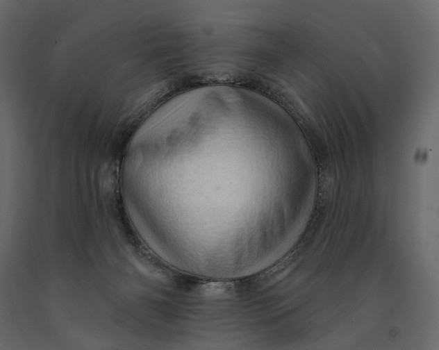 X0000091090126200708271304