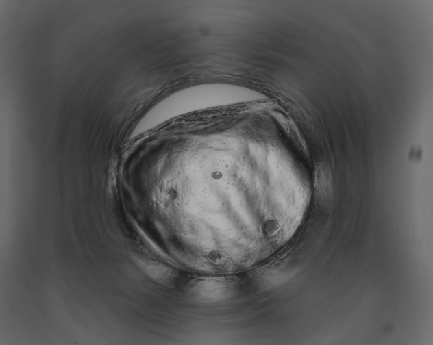 X0000091090127200708271304