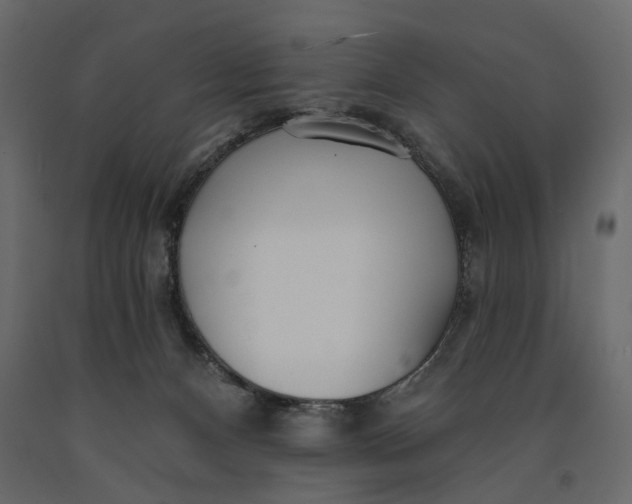 X0000091090128200708271304