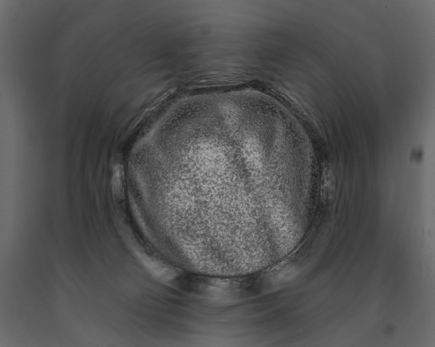 X0000091090130200708271304