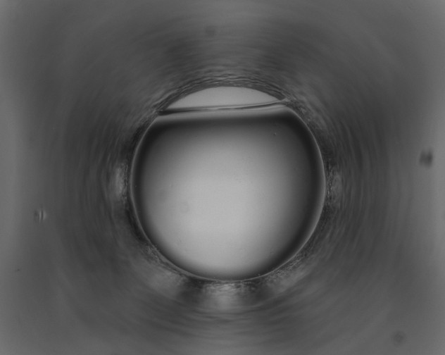 X0000091090131200708271304