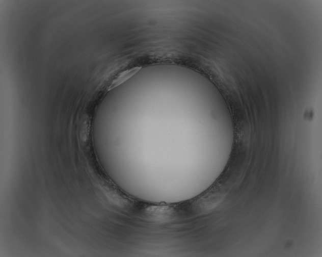 X0000091090133200708271304