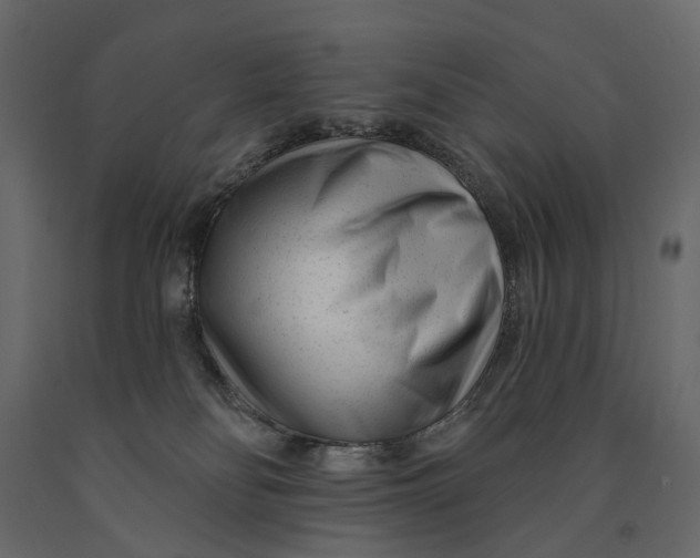 X0000091090134200708271304