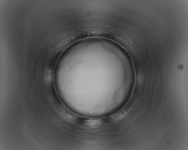 X0000091090135200708271304