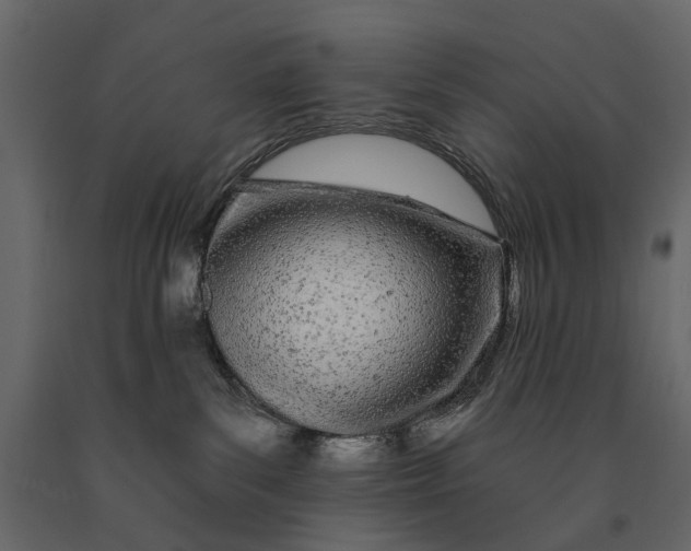 X0000091090139200708271303