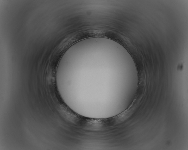 X0000091090140200708271303