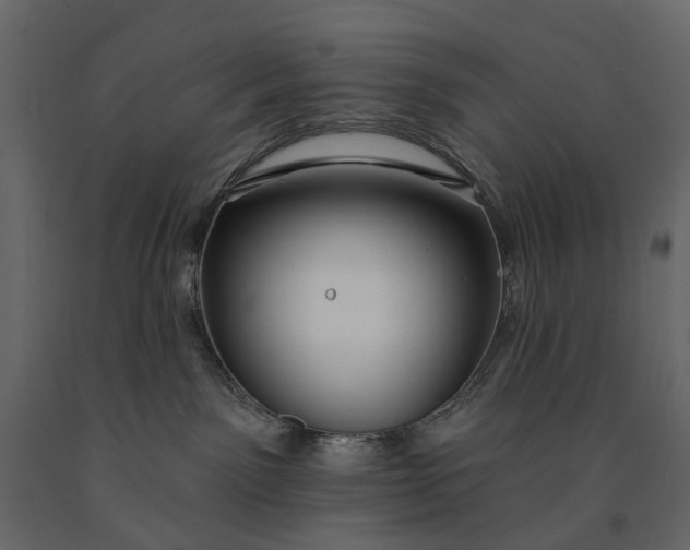 X0000091090141200708271303