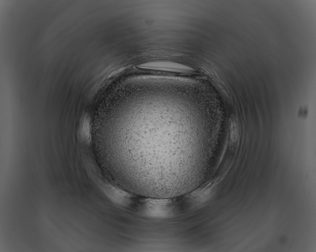 X0000091090143200708271303