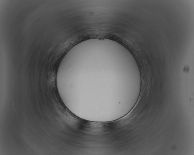 X0000091090144200708271303