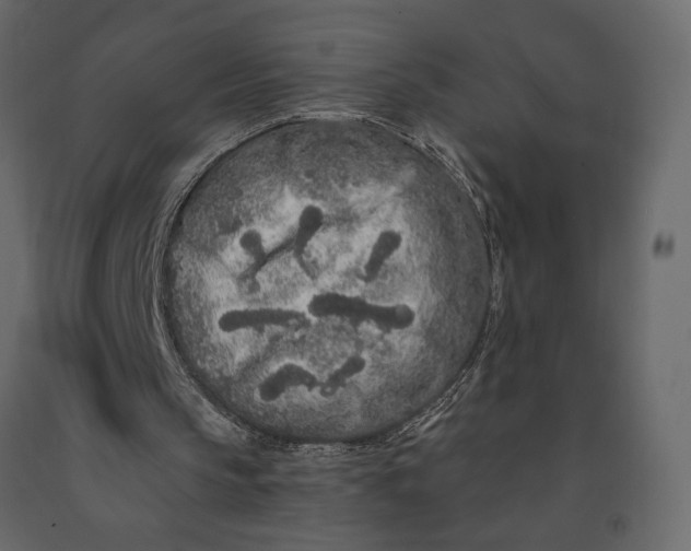 X0000091090145200708271303