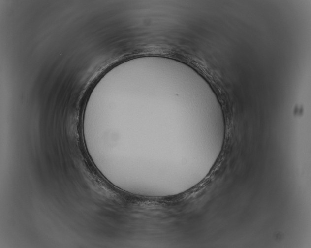 X0000091090146200708271303