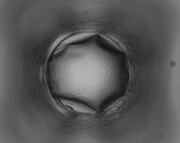 X0000091090147200708271303