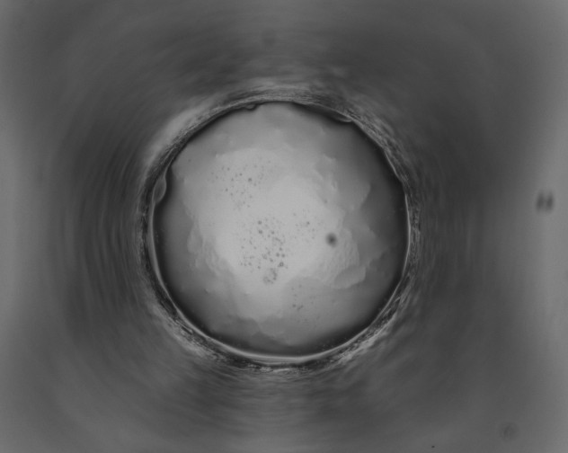 X0000091090149200708271303